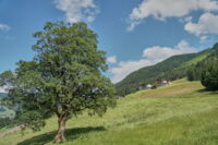 Oben auf dem Berg – Blick auf die Unterkunft, den Mitteregghof