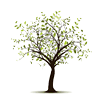 Kindertagesstätte Datteln: St. Franziskus